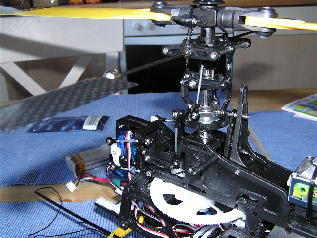P6300004.JPG