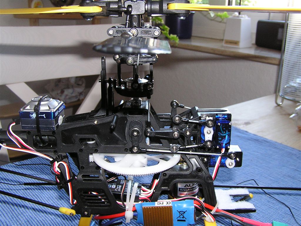 P6300003.JPG