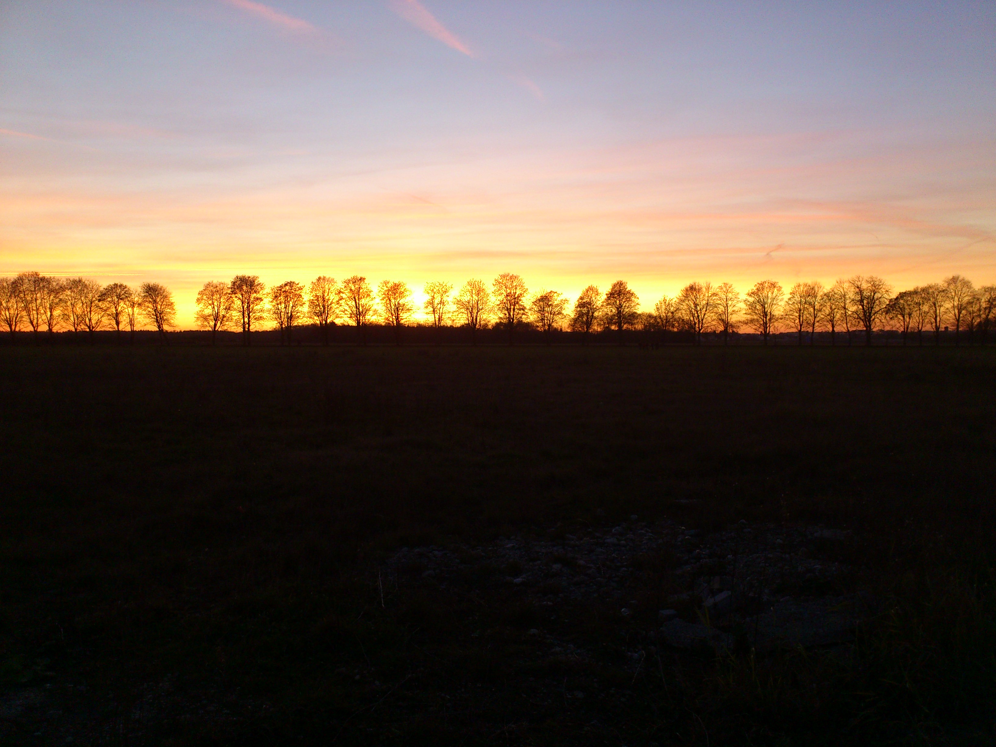 DSC_0007.jpg