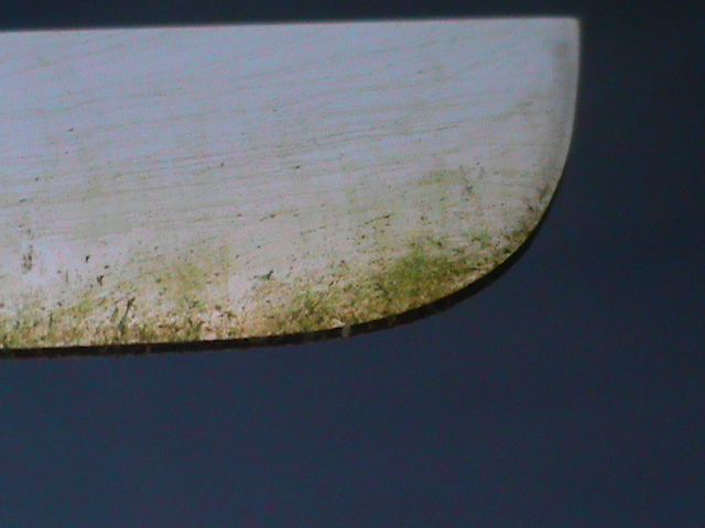 Rasenmäh-Blatt 1.0.JPG