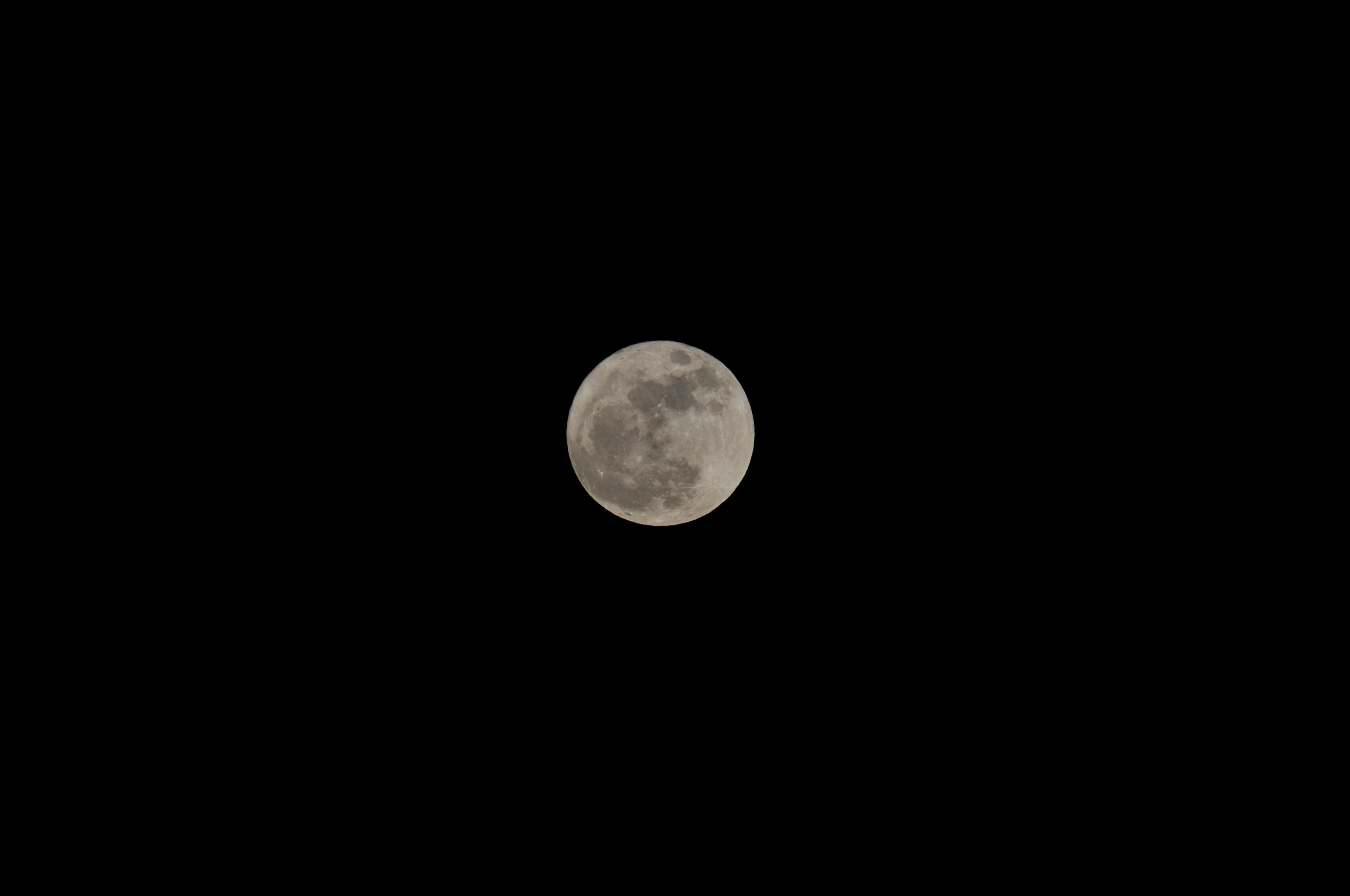 DSC_3132.JPG