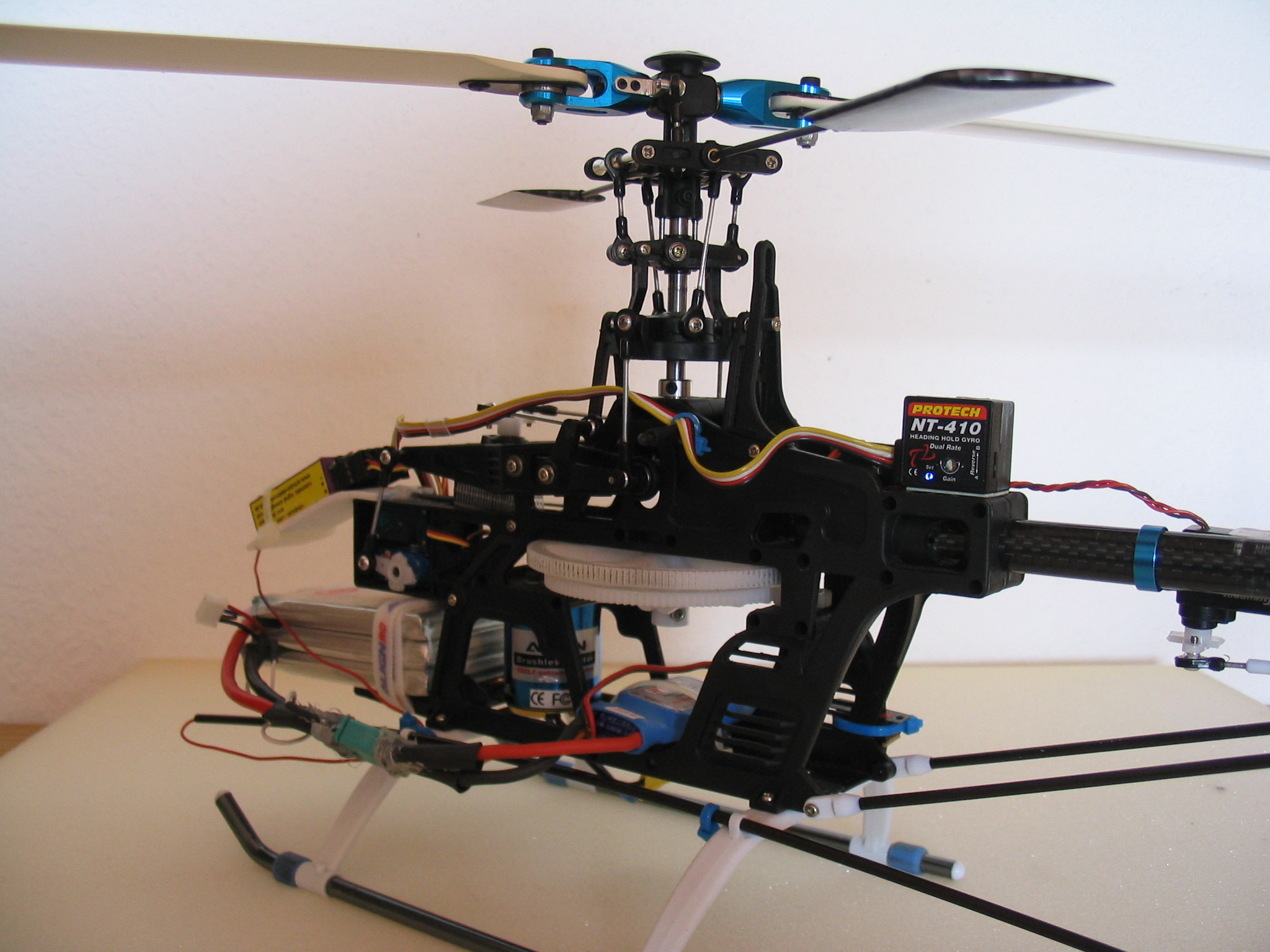 t-rex hde 010.jpg