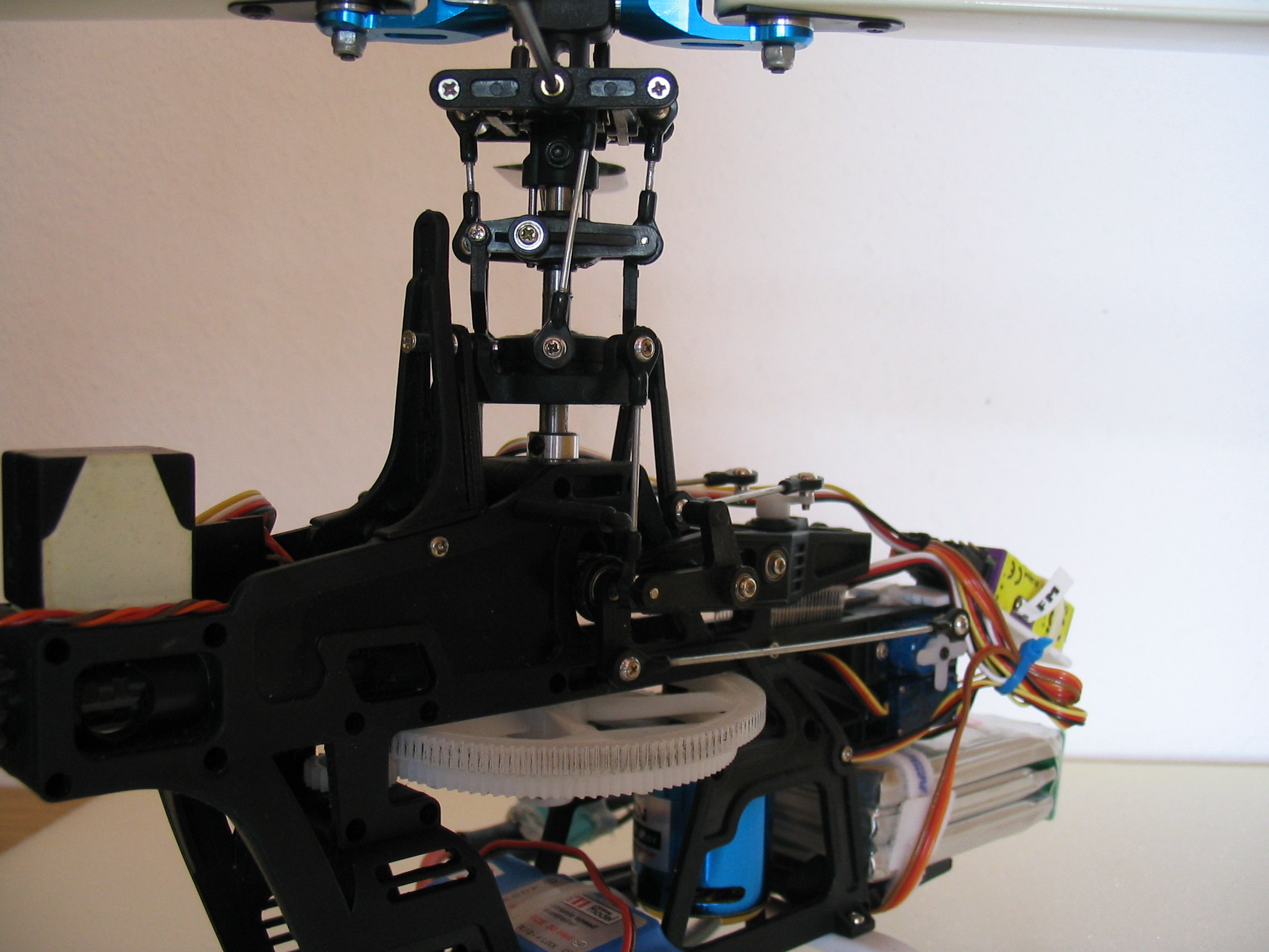 t-rex hde 009.jpg