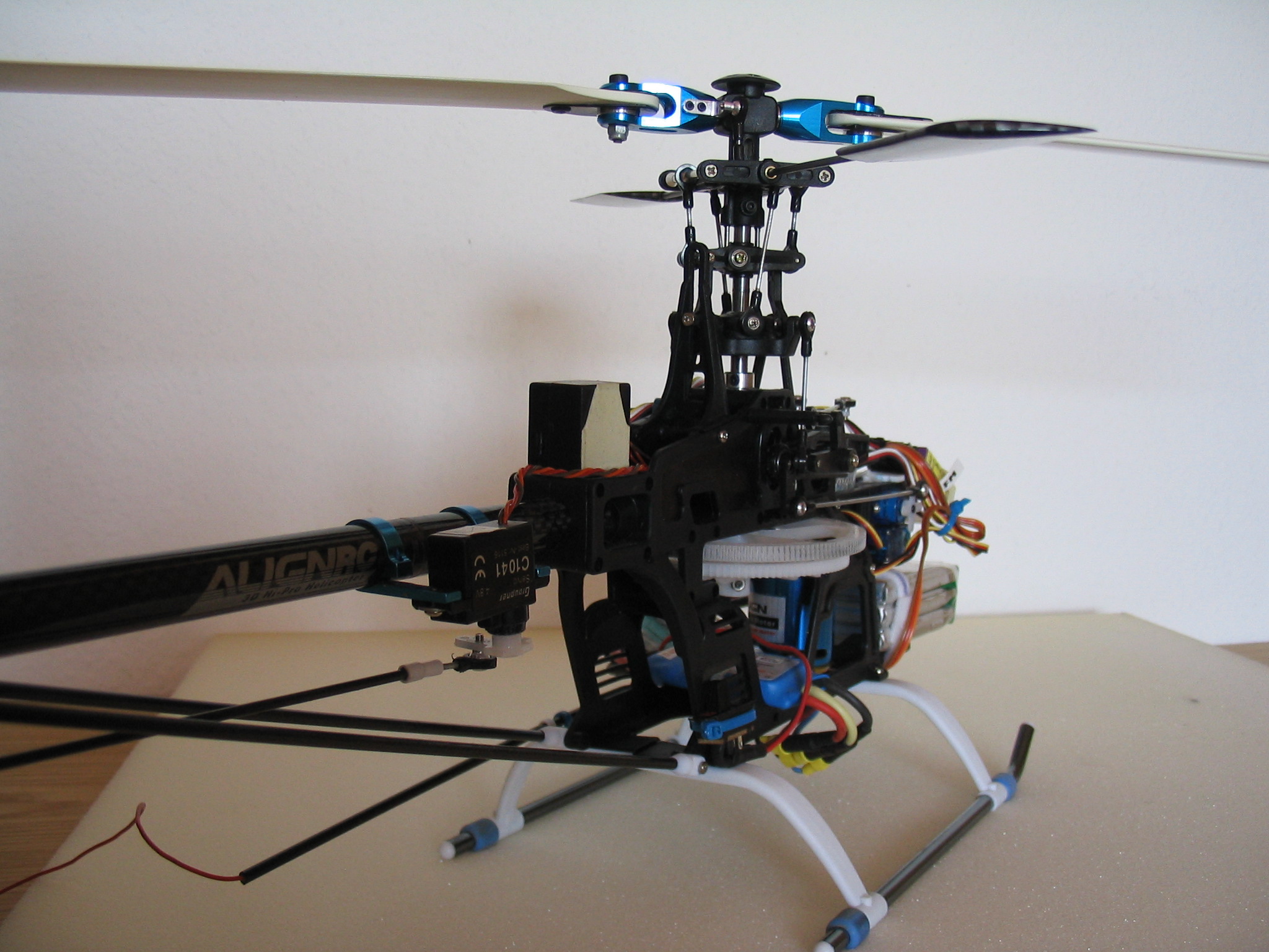 t-rex hde 008.jpg