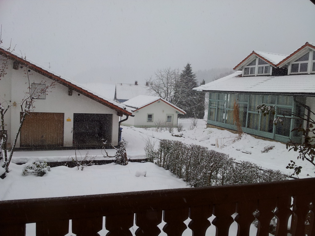 20111216_091845.jpg