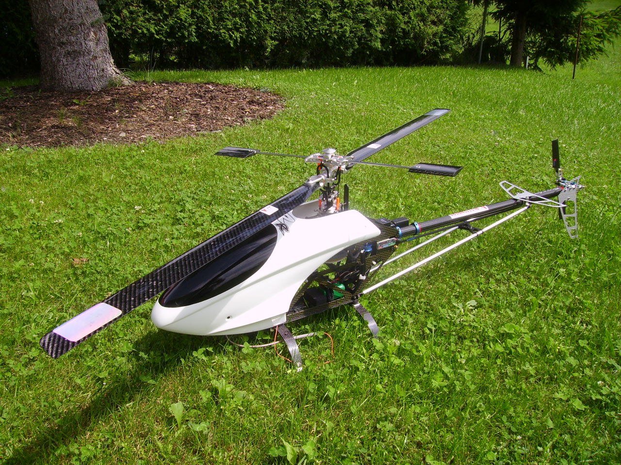 PICT1235.JPG