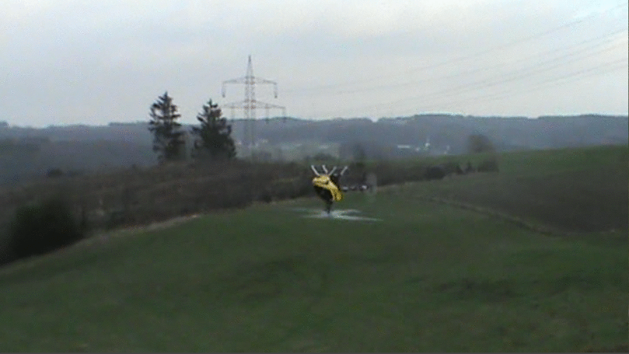 Da hat er noch als Hauptrotorblätter die Blattschmied JAZZ Ultra 430mm