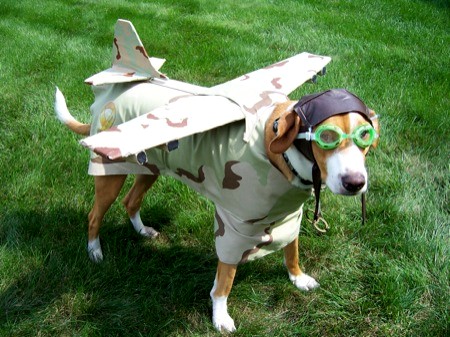 Dogfighter