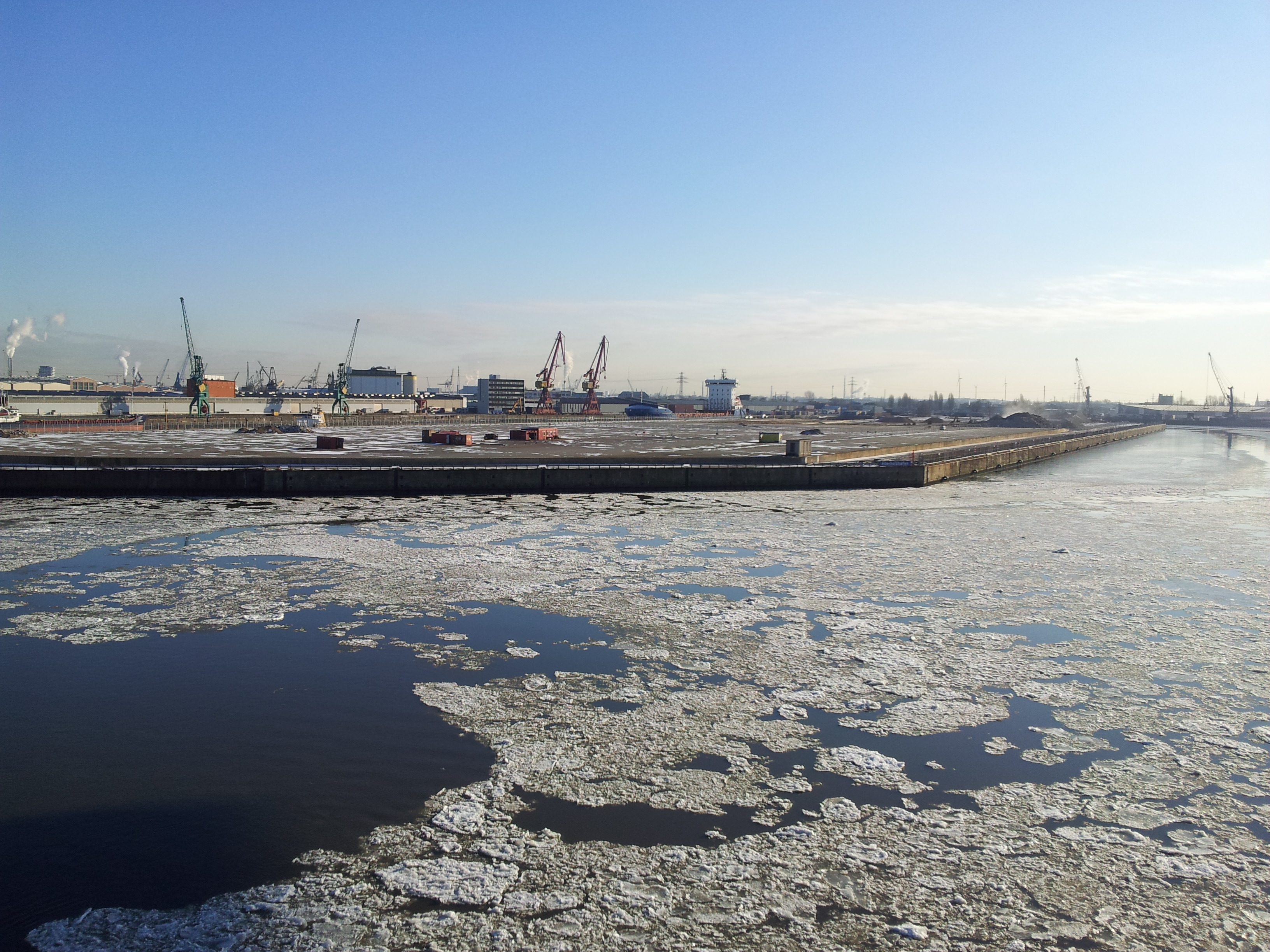 20120202_105401.jpg