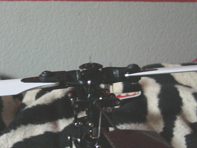 P1000547.JPG