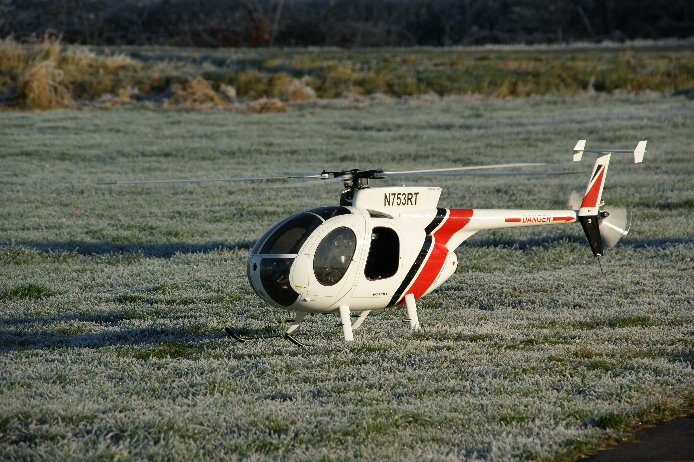ralf019.jpg