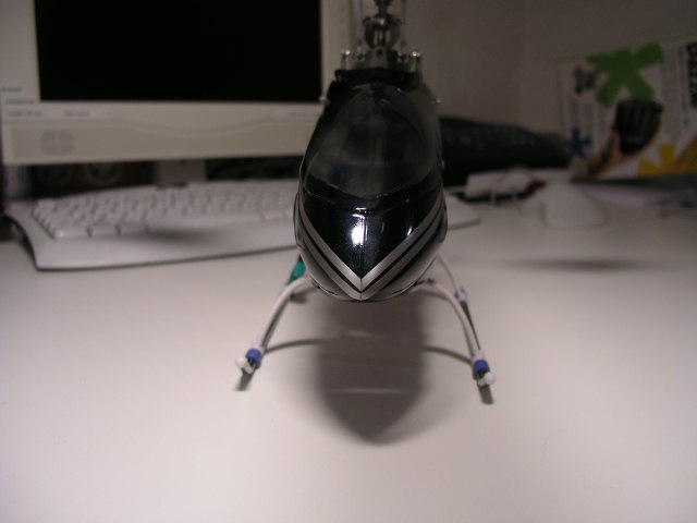 Haube Rex neu2.JPG