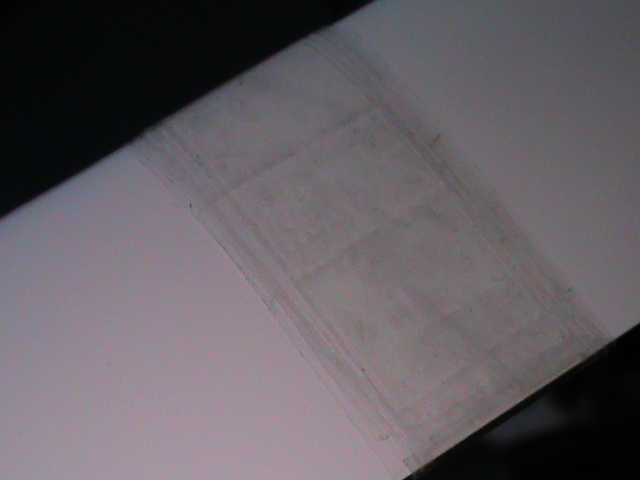 Blatt Unterseite.JPG