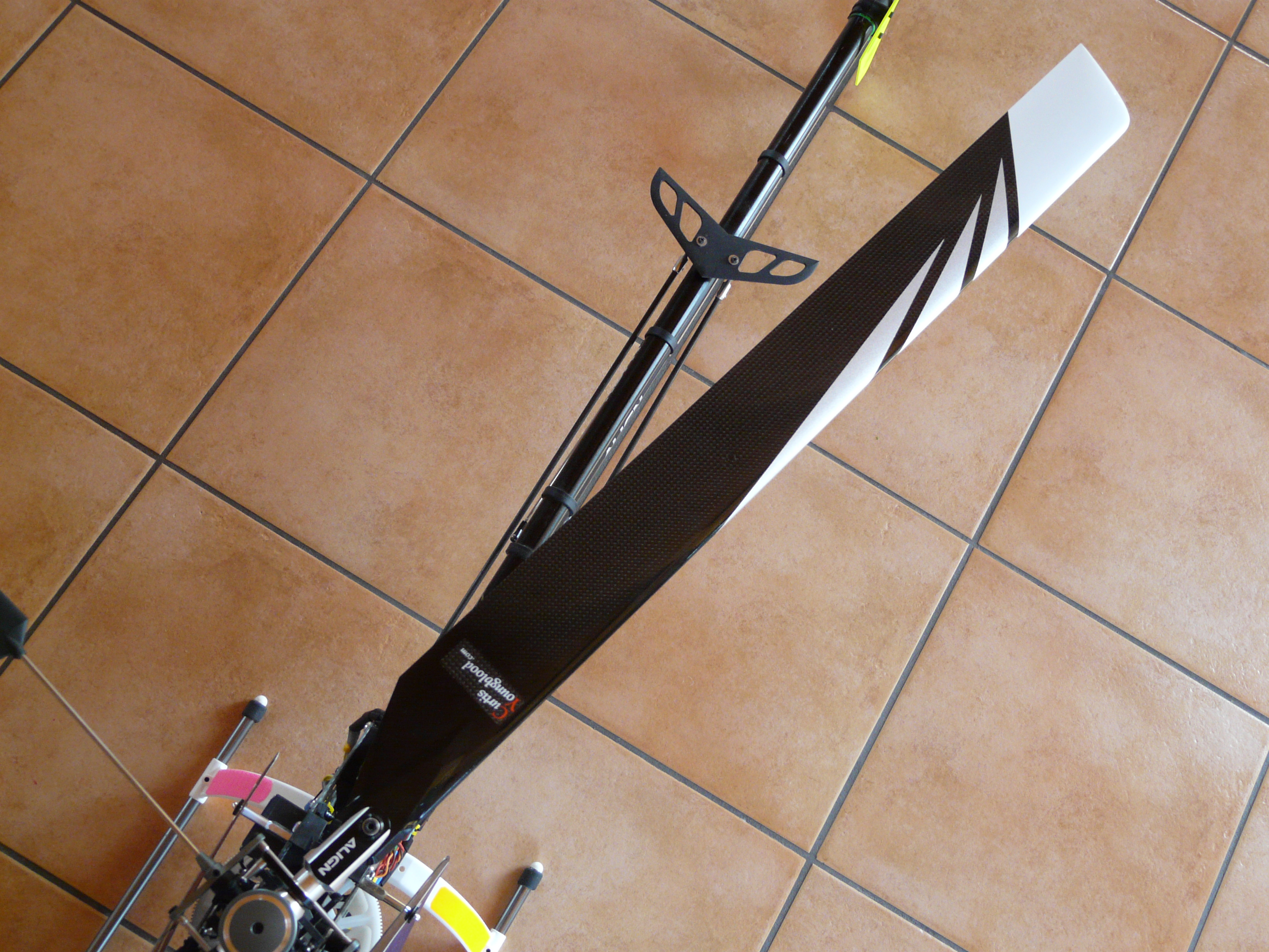 P1150117.JPG