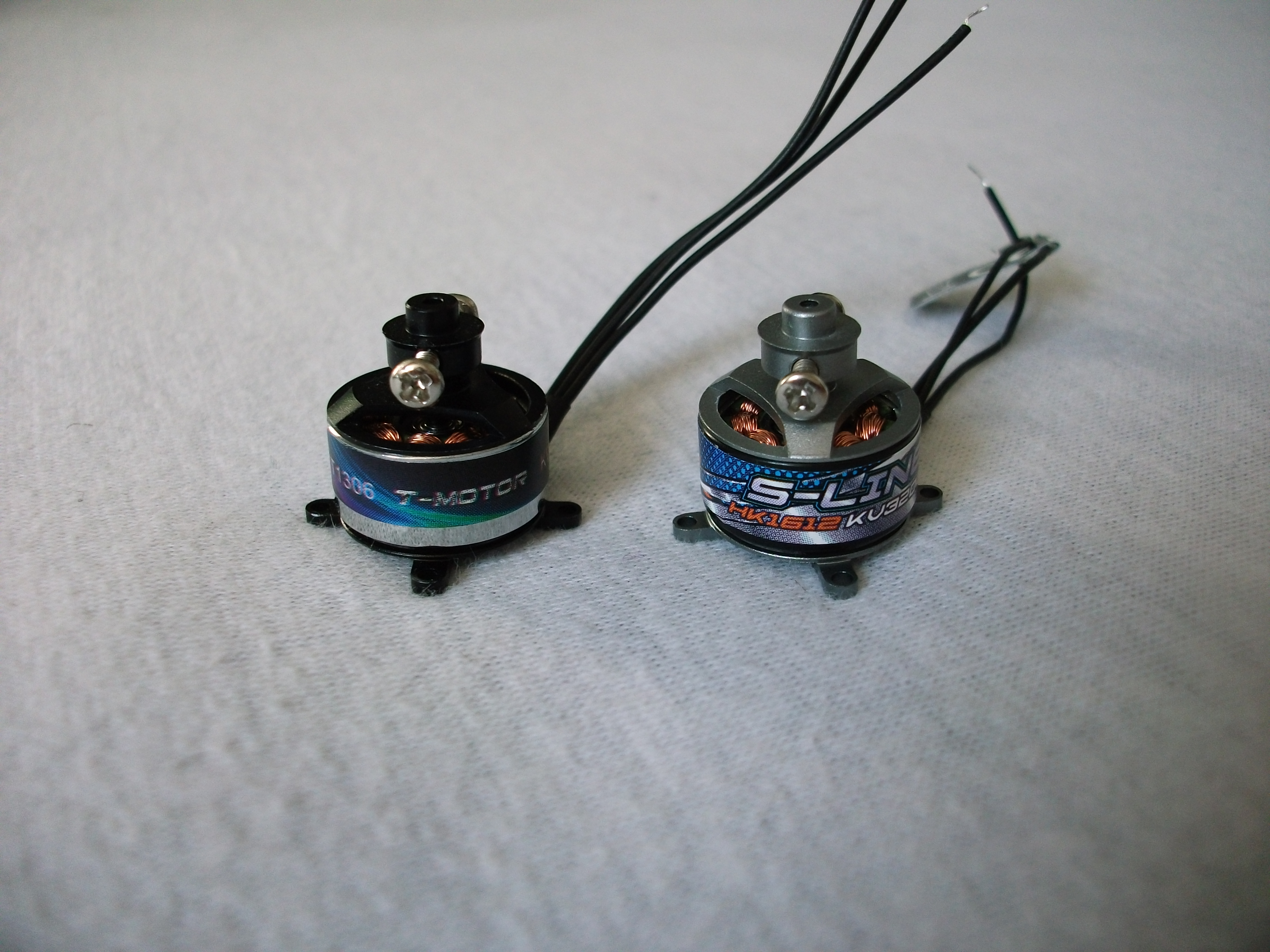 T-Motor - HK Motor 1.JPG