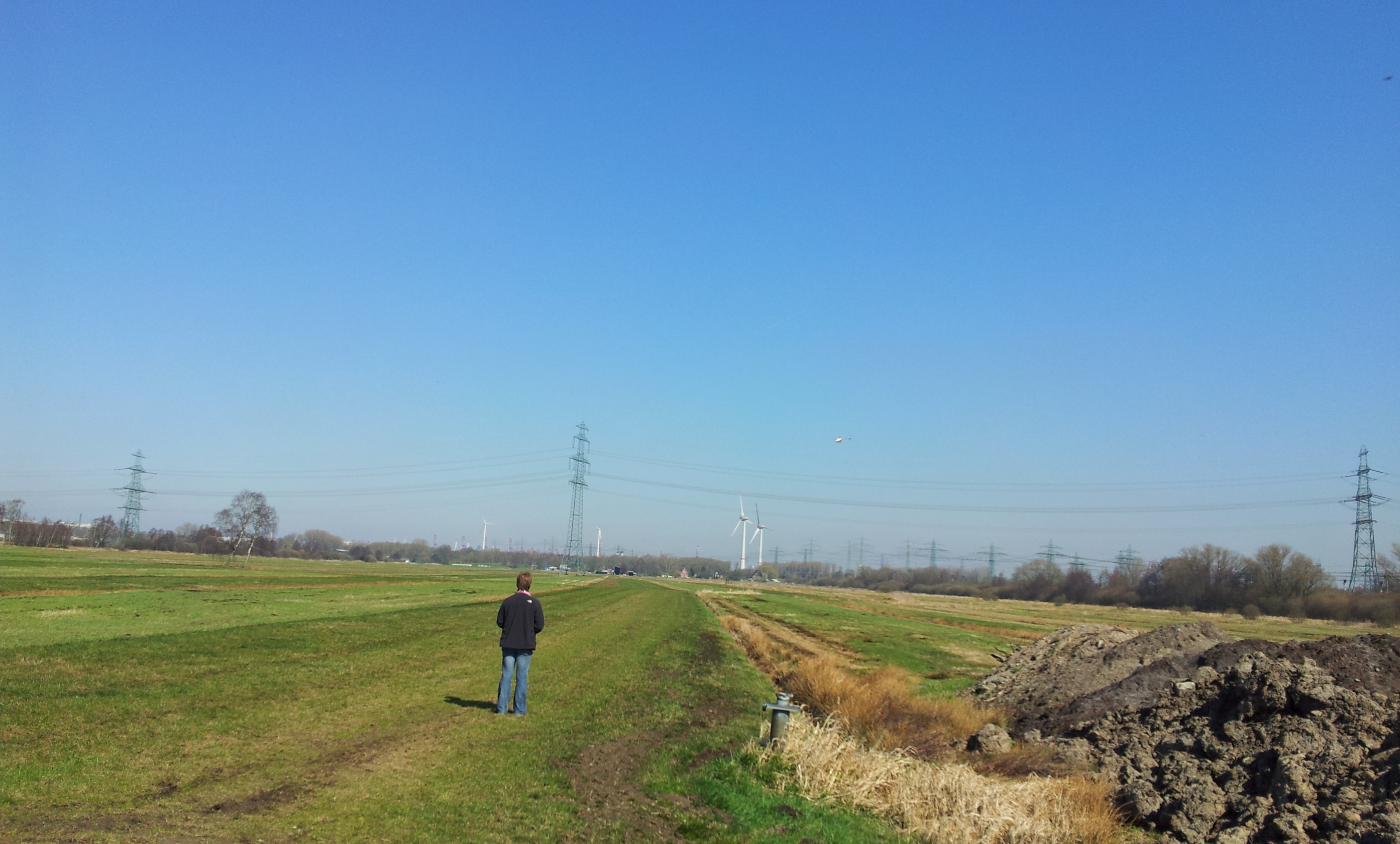 20120323_120116.jpg