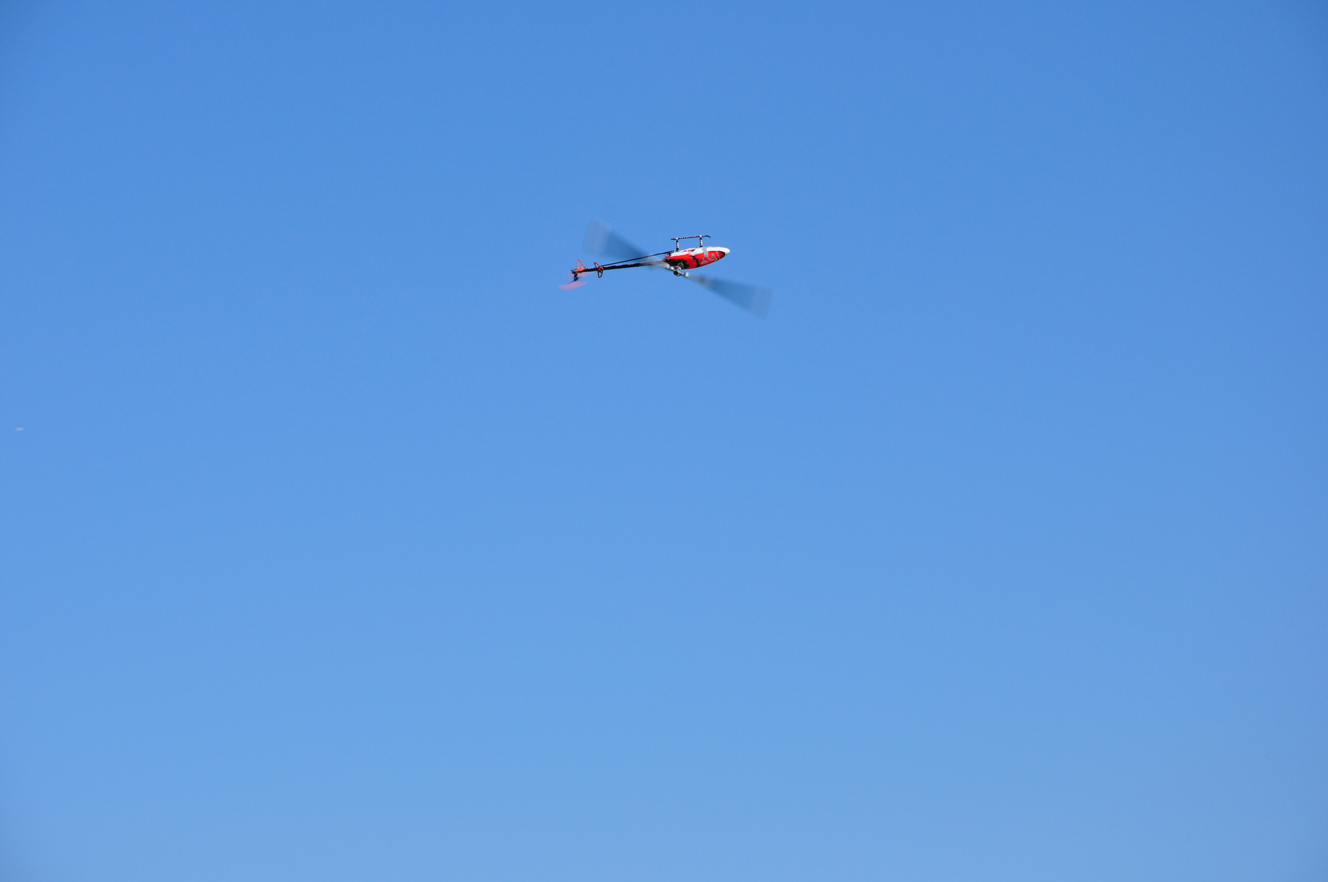 DSC_0222.JPG