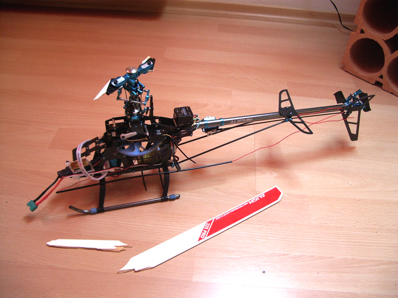Rex_22-07-06_3.jpg