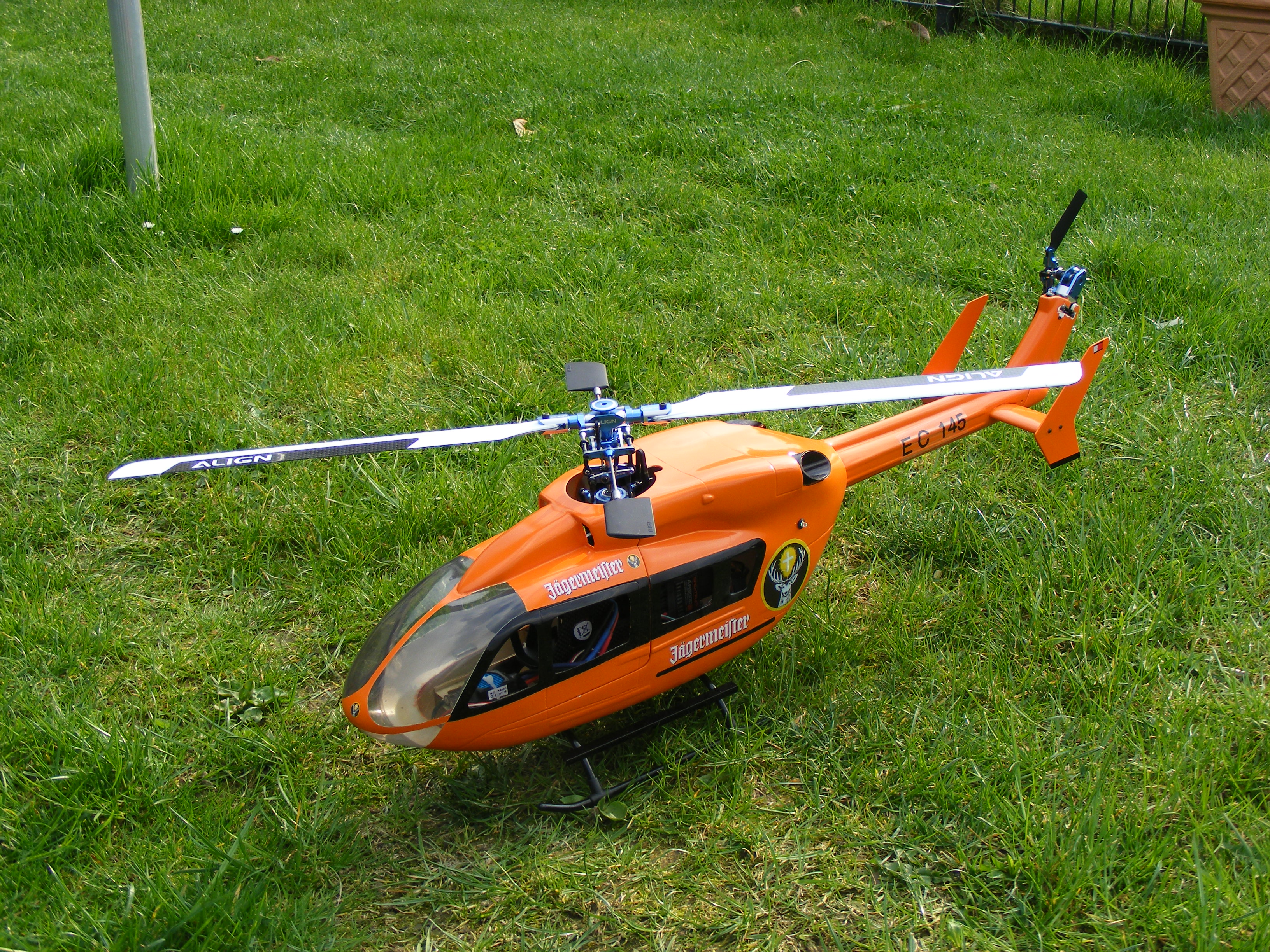 DSCF0573.JPG