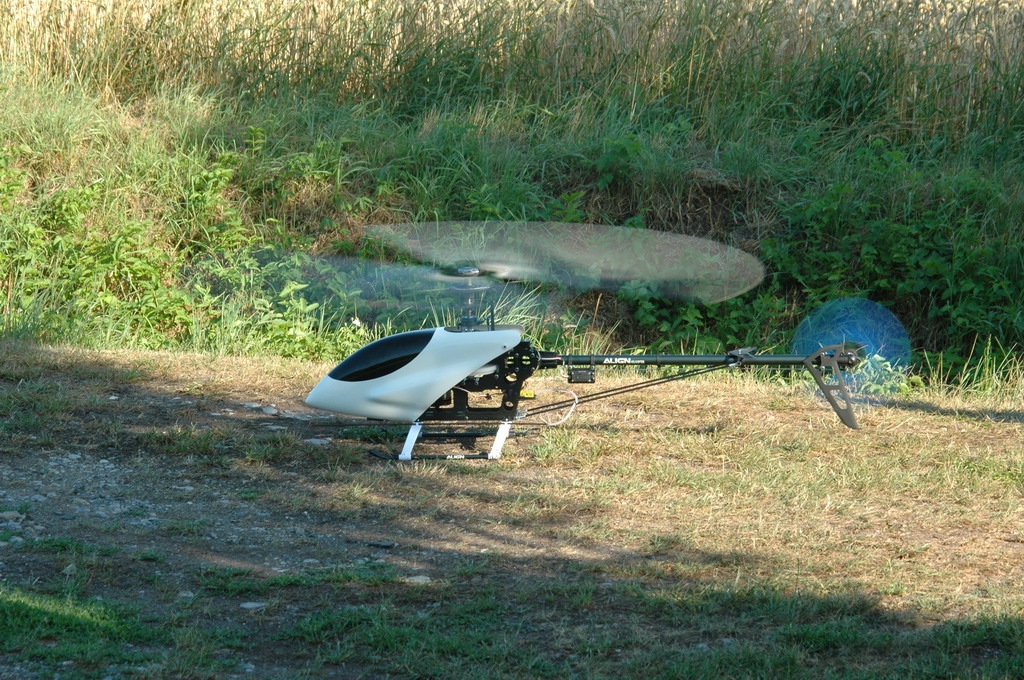 DSC_3240.JPG