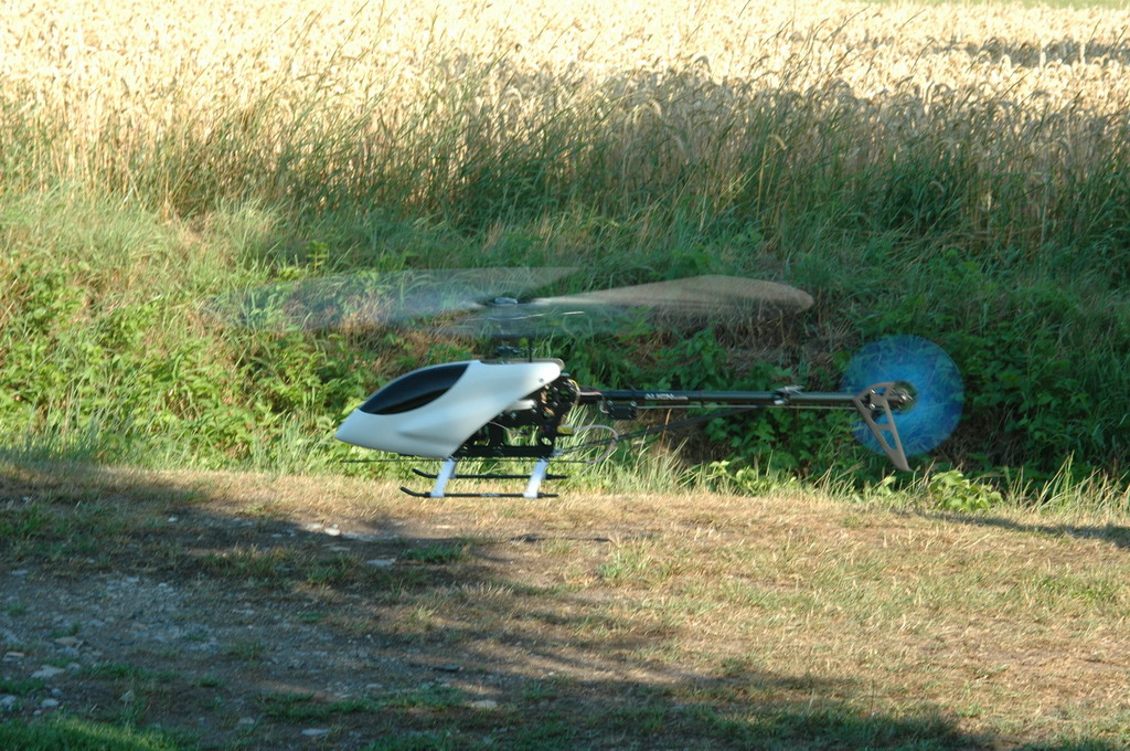 DSC_3241.JPG