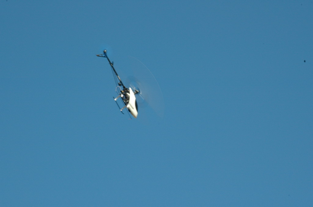 DSC_3274.JPG