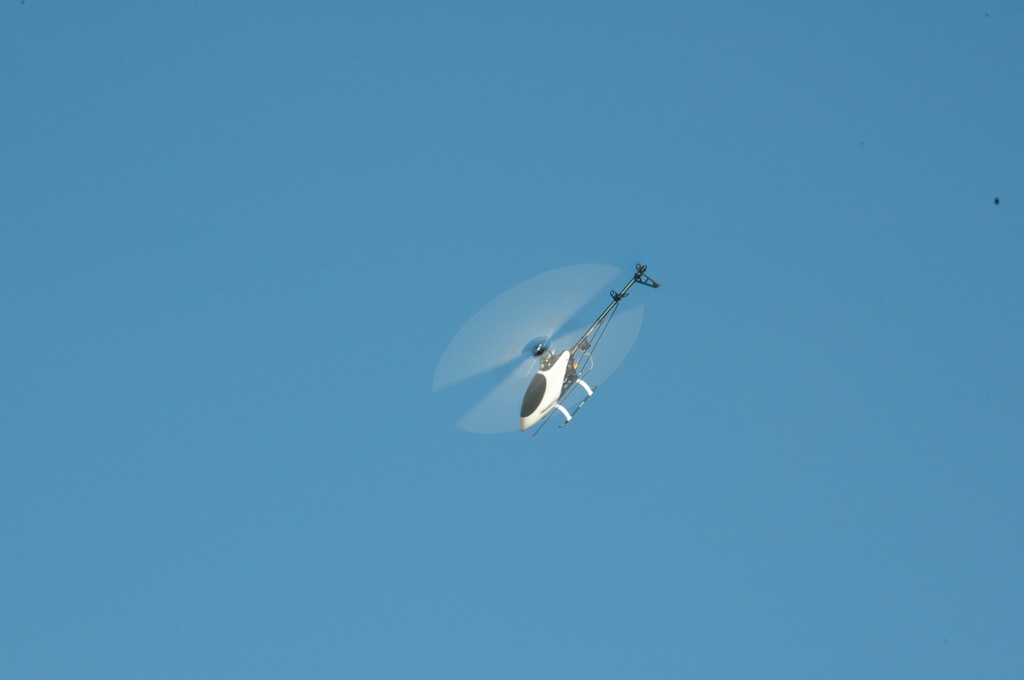 DSC_3300.JPG