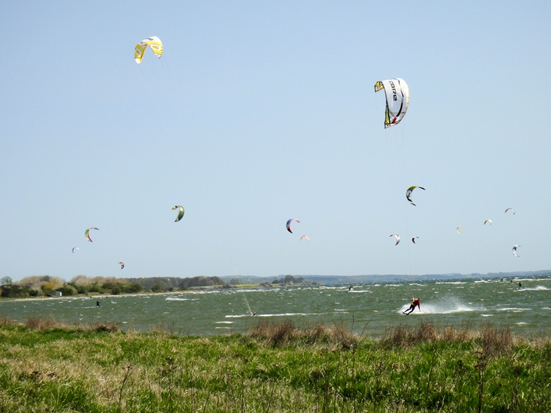 DSC04187.JPG