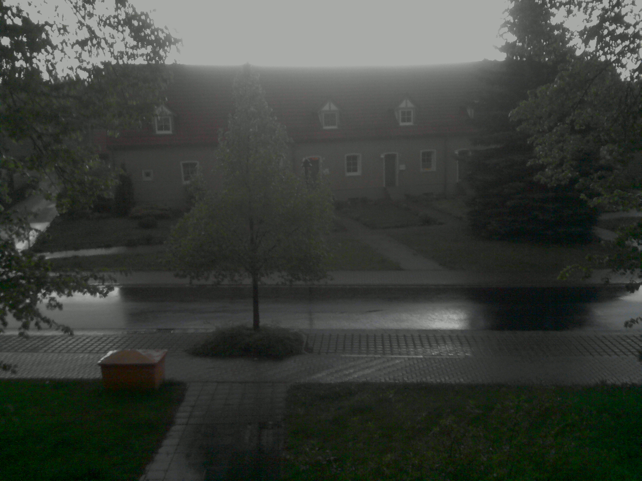 P300412_19.53_[01].jpg