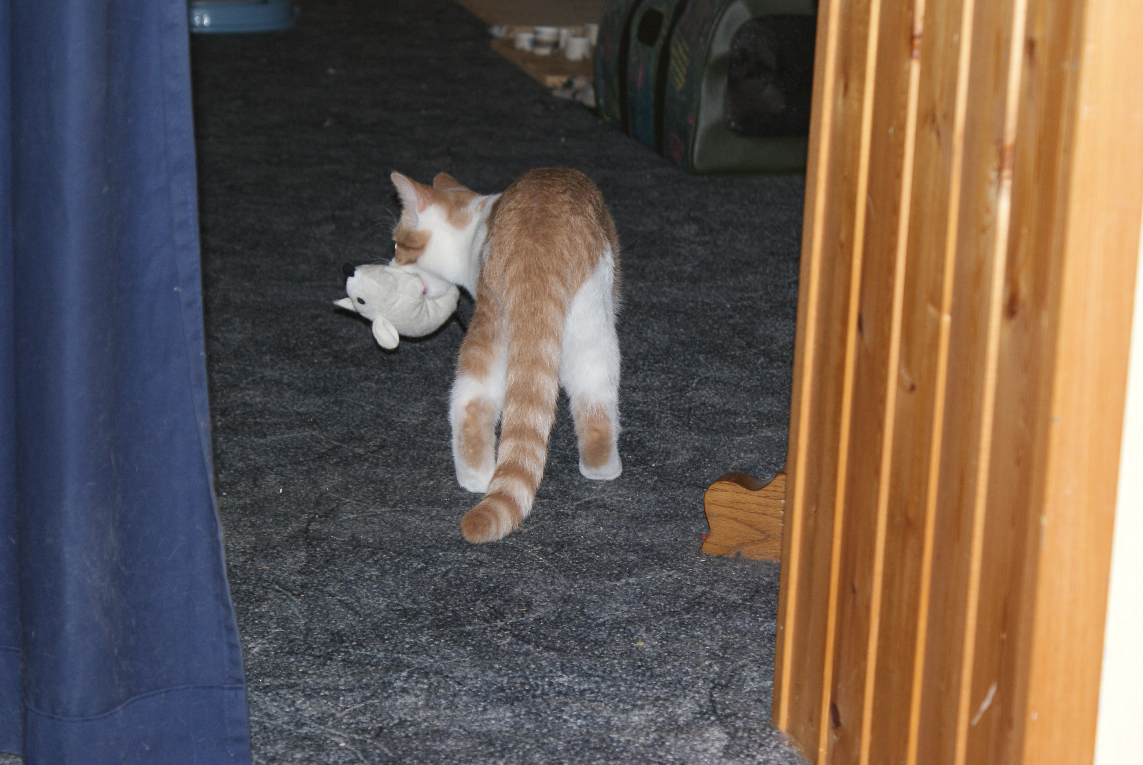 DSC00356.JPG