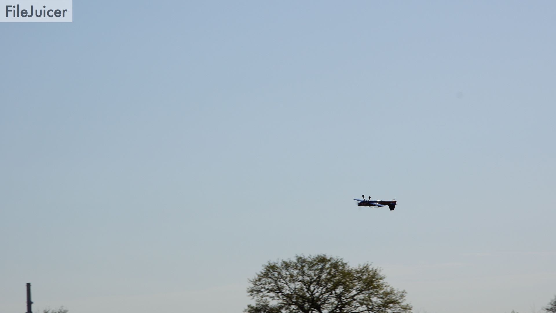 DSC01384-1.jpg