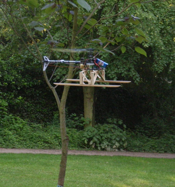 T-Rex_450_im_Park_3.jpg