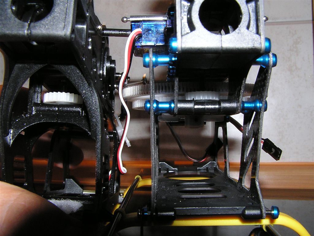 P7310005.JPG