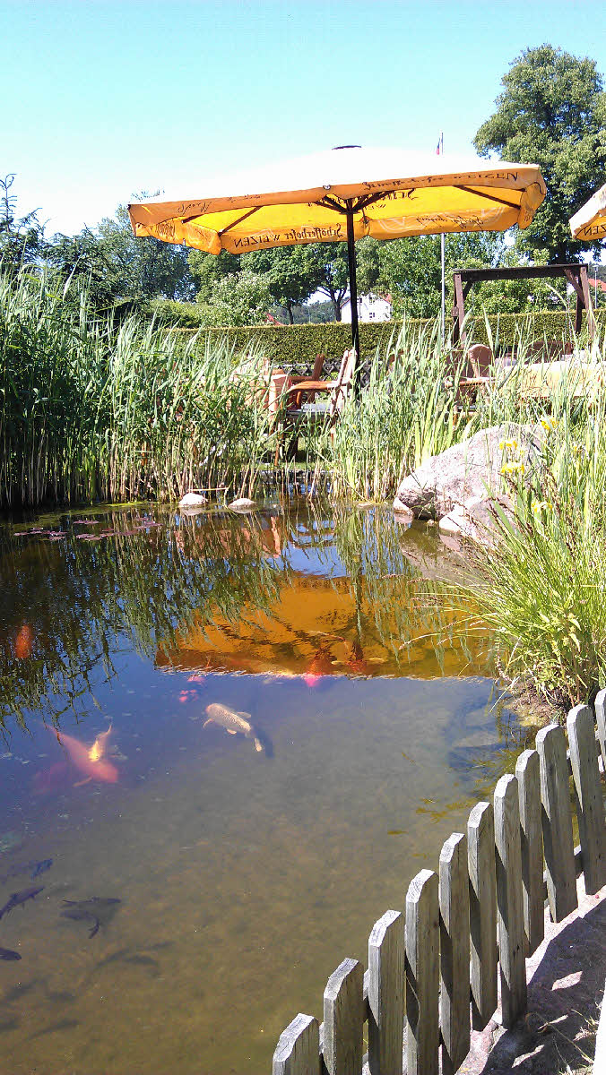 IMAG0481.jpg