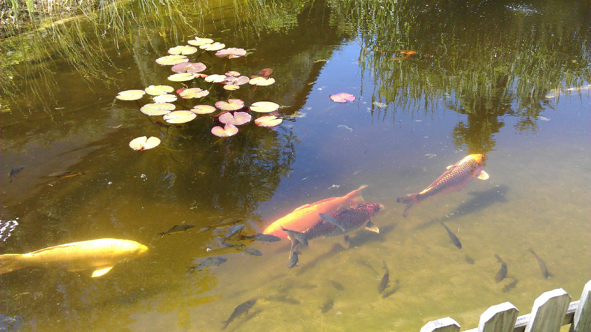 IMAG0479.jpg