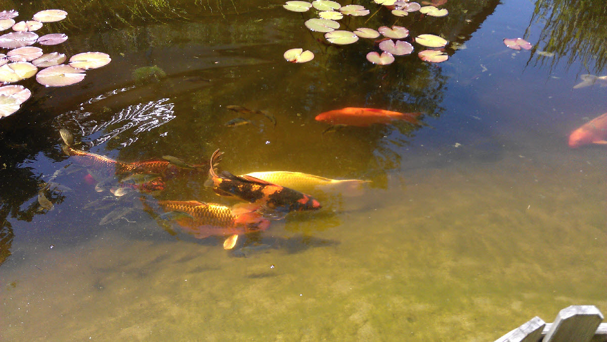 IMAG0478.jpg