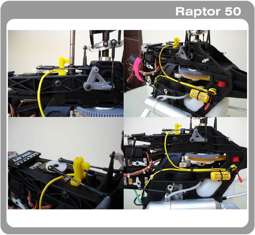 Raptor50DW1.jpg