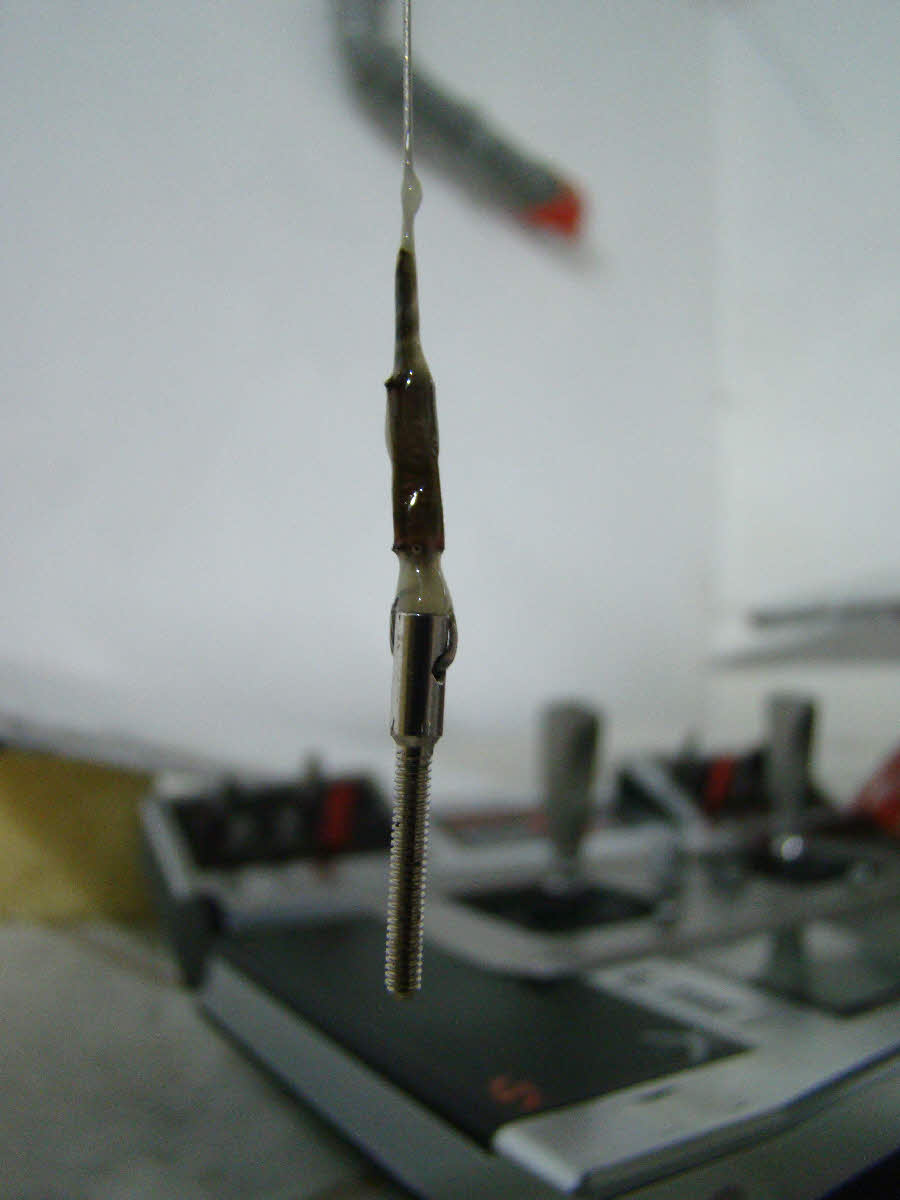 DSC05224.jpg