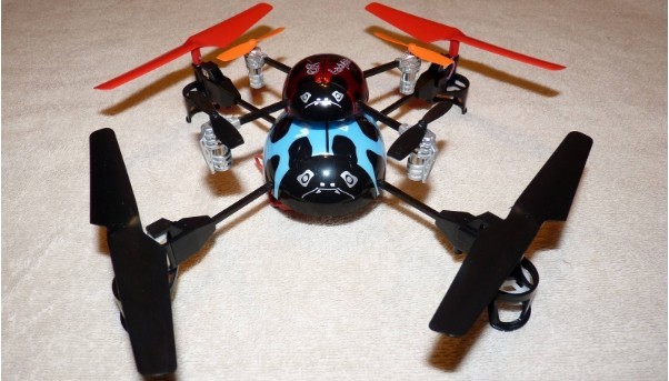 Beatle Ladybird(1).jpg