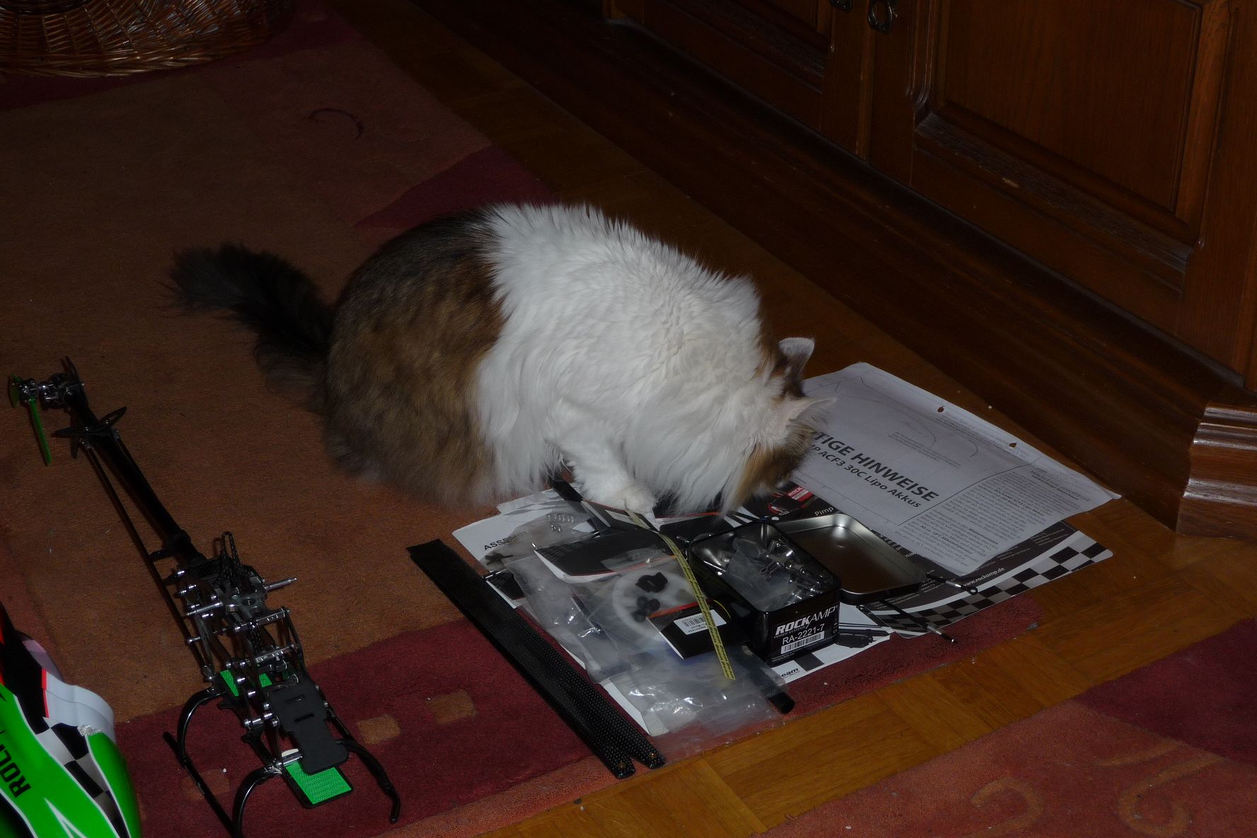 k-P1070288.JPG