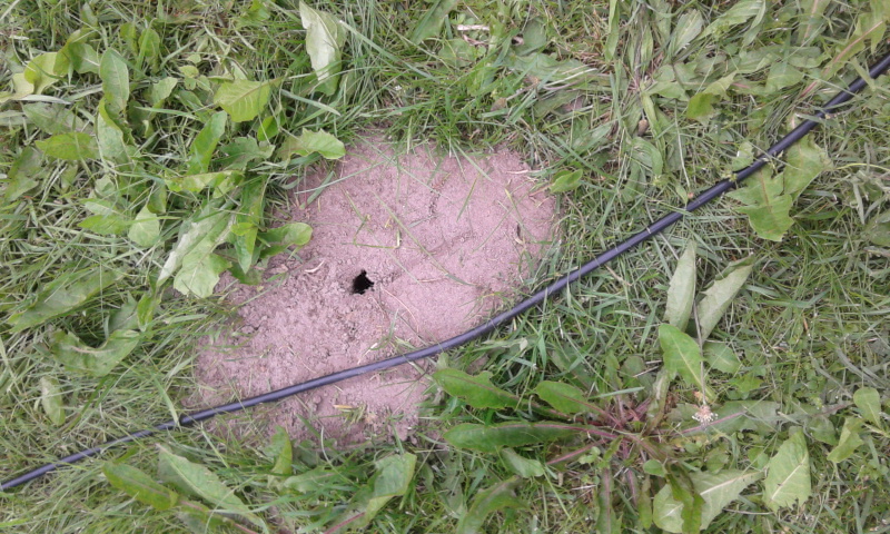 20120718_155100.jpg
