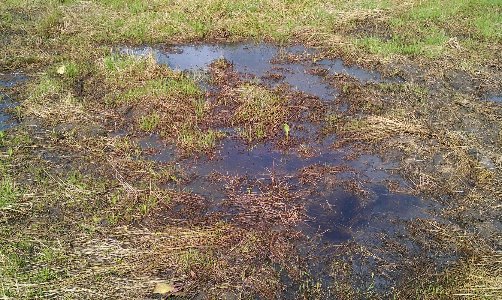 Wasser.JPG