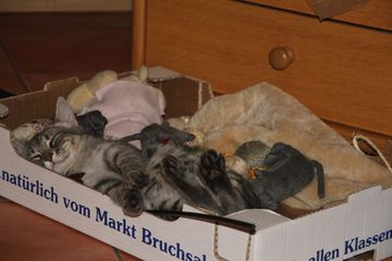 IMG_5125.JPG