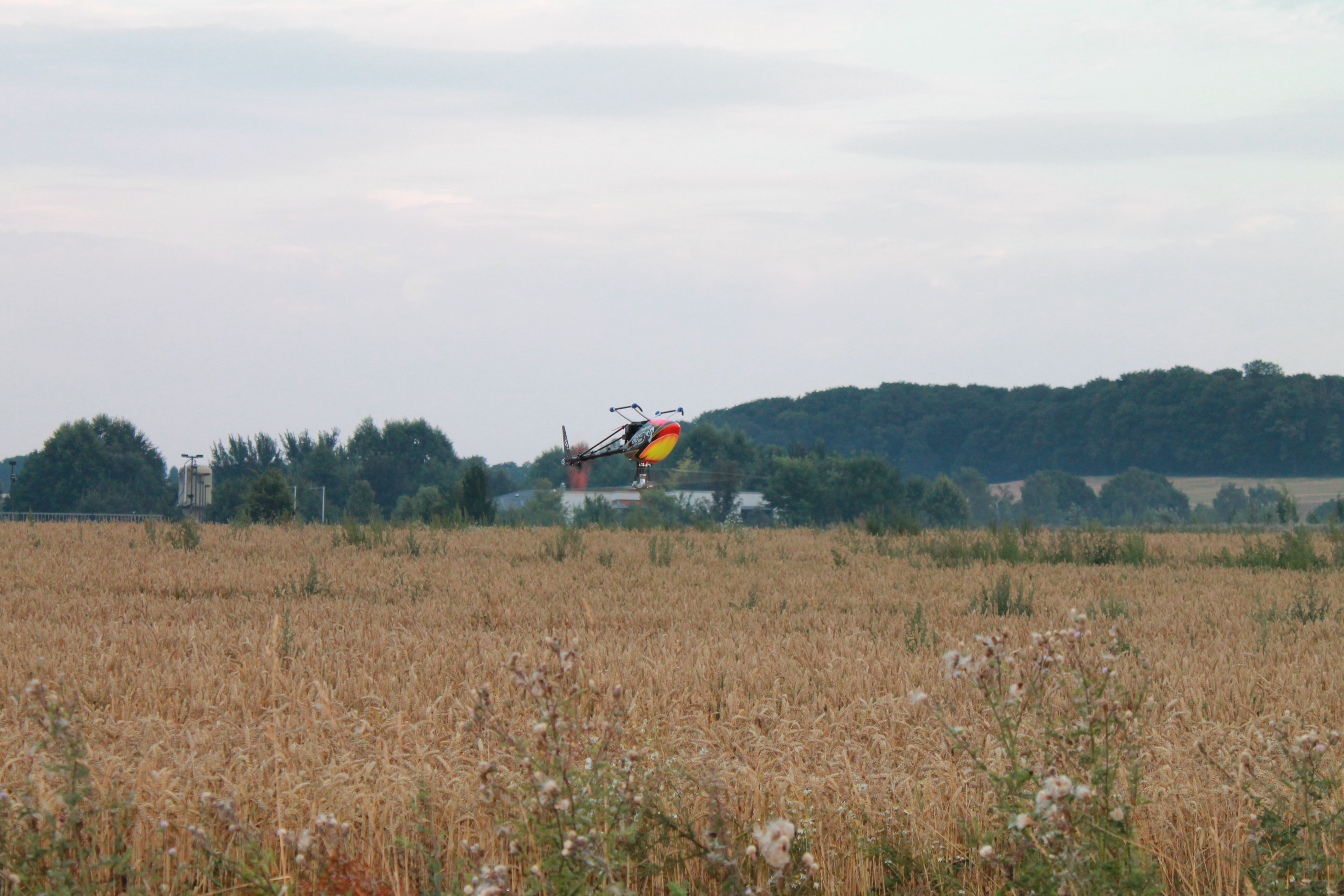 die Entstehung der Kornkreise Teil 2