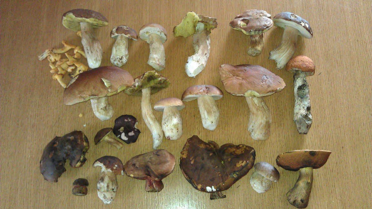 IMAG0640.jpg