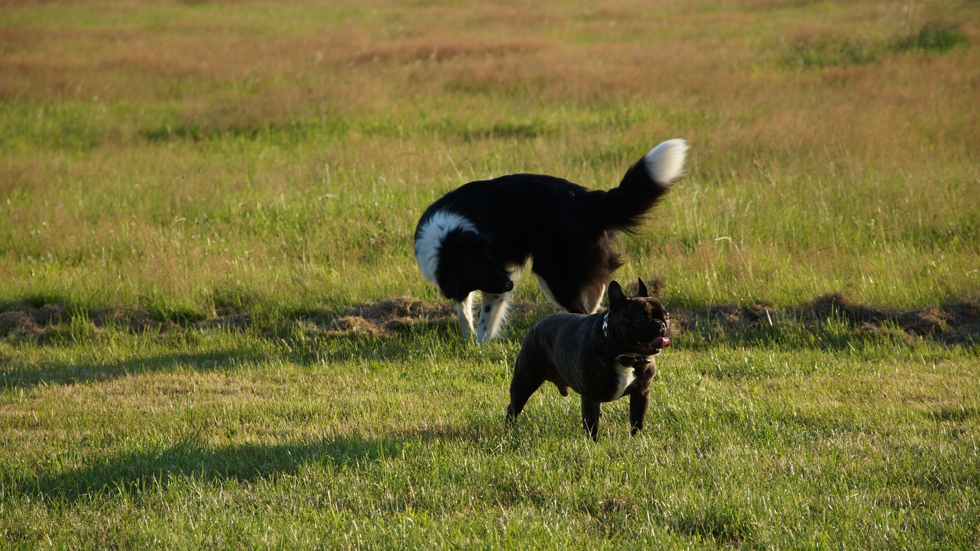 DSC00409.jpg