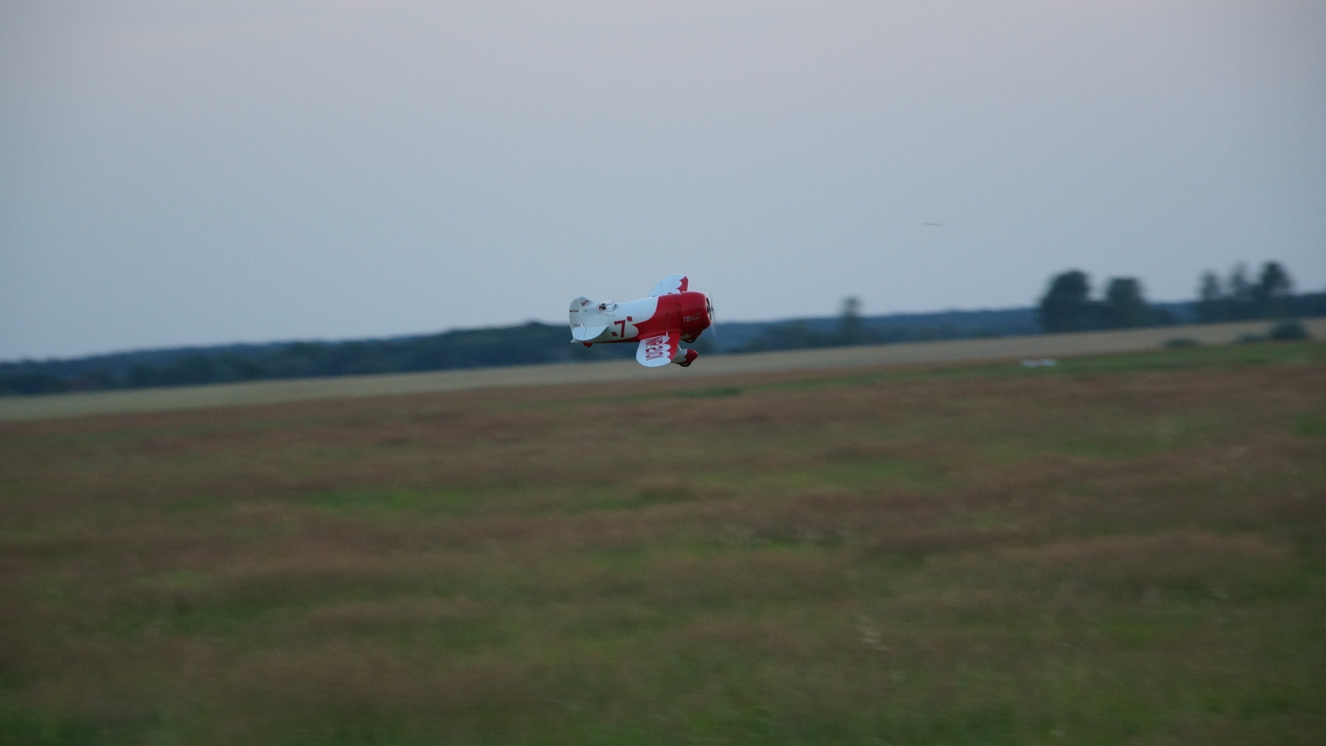 DSC00473.jpg