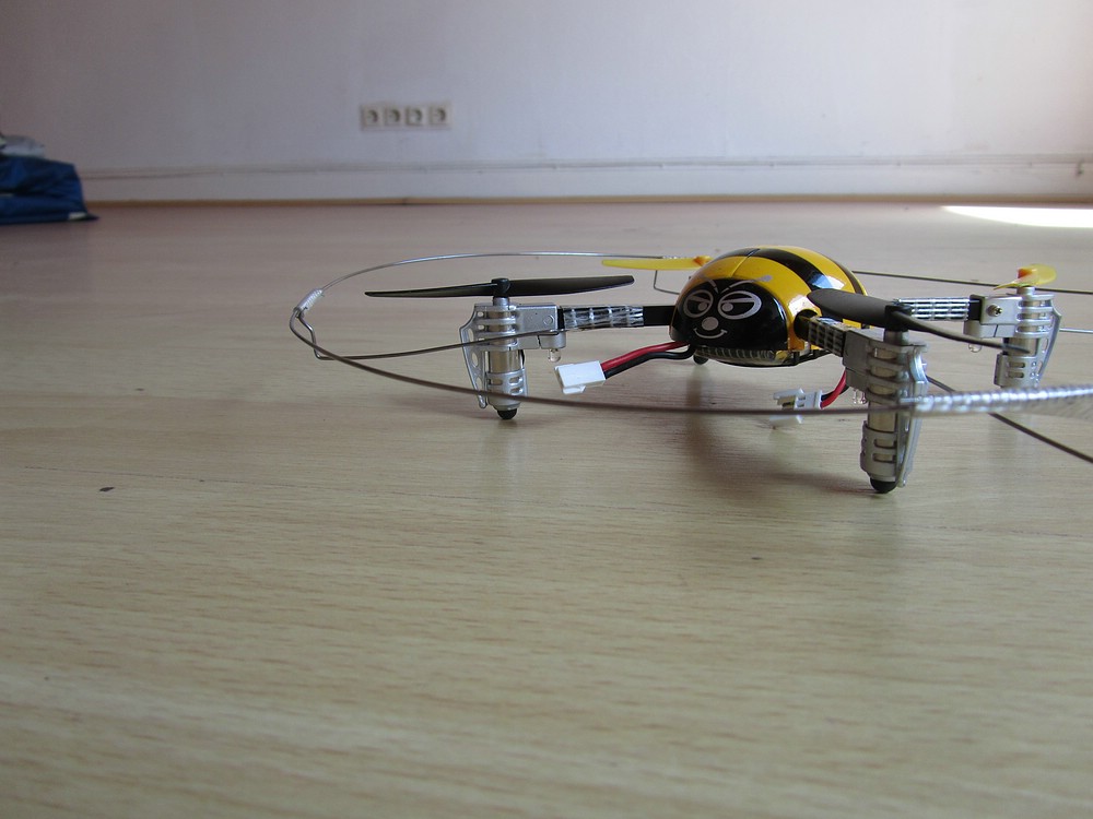 besonder MIni Pet(3)