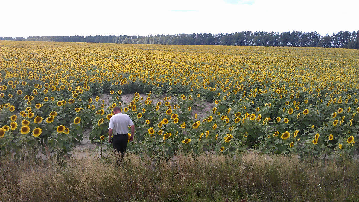 IMAG0762.jpg