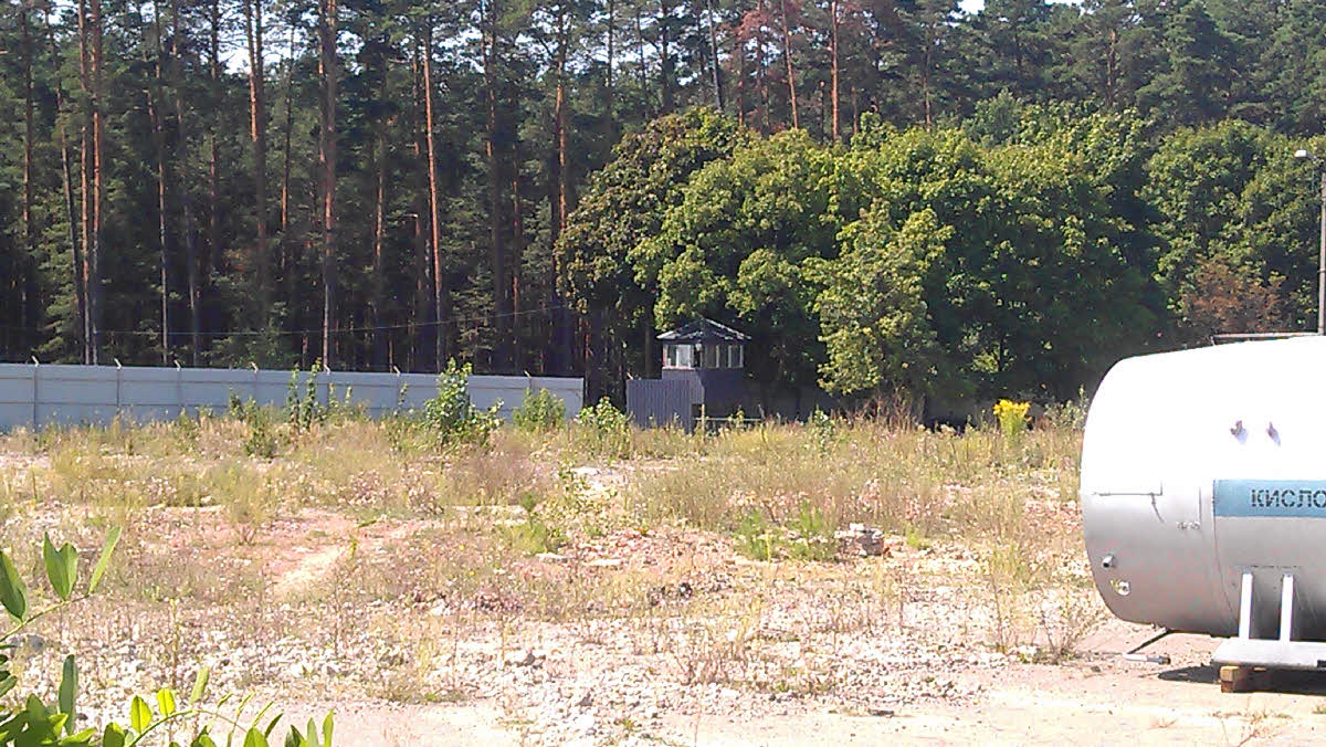IMAG0717.jpg